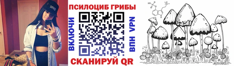 Галлюциногенные грибы прущие грибы  Пересвет 